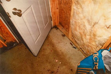 murdaugh murder crime scene pictures|REVEALED: Every Gruesome Crime Scene Photo In。